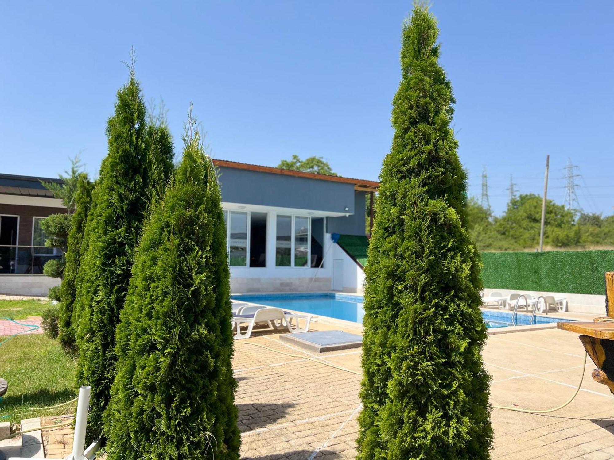 Стаи За Гости Dream Kurdzhali ภายนอก รูปภาพ